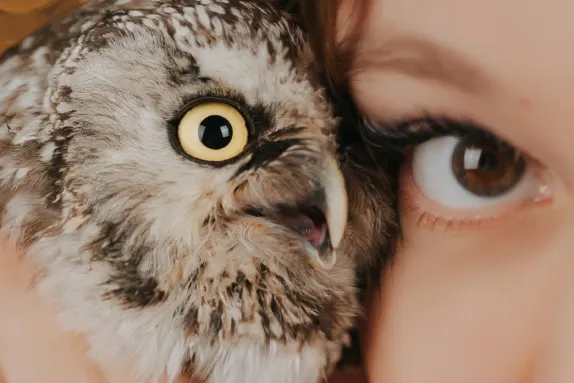 Efbet Casino Sokongan